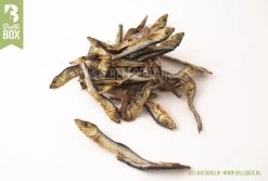 Bellobox - Beloningsbox - Hondensnacks - 100% Natuurlijk - Trainingssnacks - Cadeaubox 15 Bellobox - Beloningsbox - Hondensnacks - 100% Natuurlijk - Trainingssnacks - Cadeaubox -Dierenwinkel 1200x811