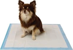 Easypets Puppy Training Pads - Zindelijkheidstraining - Hondentoilet - 58 X 58 Cm - 105 Stuks -Dierenwinkel 1200x814