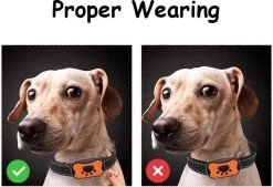 Merkloos Anti Blafband Voor Honden Blafband Anti Blaf Apparaat Blafband Zonder Schok - Diervriendelijk -Dierenwinkel 1200x822