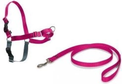 PetSafe Easy Walk® - Hondentuigje - Zwart - L - 66-91 Cm -Dierenwinkel 1200x825 1