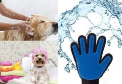 Vacht Verzorgingsborstel Voor Huisdieren - Blauw - LimitedDeals - Voor Honden Katten Konijnen Paarden - Tevens Massage Handschoen Voor Dieren! - Goed Voor De Verzorging Van De Vacht -Dierenwinkel 1200x825