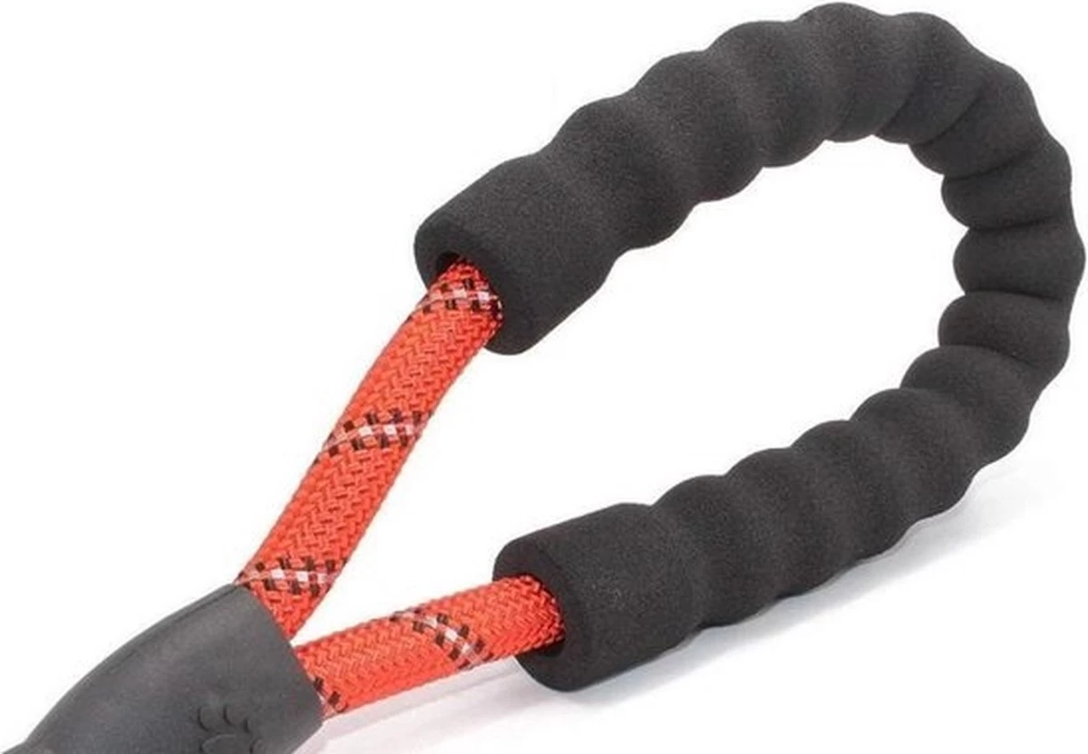 Comfortabele Hondenriem Met Gevoerd Handvat – Stevige Nylon Hondenlijn – Riem Voor Honden 5 Comfortabele Hondenriem Met Gevoerd Handvat – Stevige Nylon Hondenlijn – Riem Voor Honden - Afbeelding 3