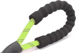 Comfortabele Hondenriem Met Gevoerd Handvat – Stevige Nylon Hondenlijn – Riem Voor Honden -Dierenwinkel 1200x832 3
