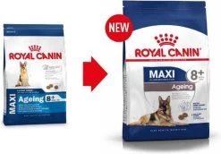 Royal Canin Maxi Ageing 8+ 15 KG 24 Royal Canin Maxi Ageing 8+ 15 KG -Dierenwinkel 1200x836