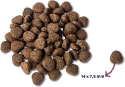 Renske Super Premium Adult Verse Zalm - Graanvrij - Hond - Droogvoer - 600 Gr -Dierenwinkel 1200x840