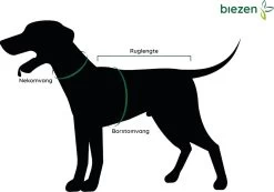 Julius K9 Julius-K9 IDC®Powertuig, XS - Mini-Mini, Camouflage -Dierenwinkel 1200x842 4