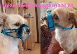 Sharon B Muilkorf Paars Maat M - Fleece - Wasbaar - Reflecterend -Dierenwinkel 1200x852 4