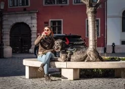 Julius K9 Julius-K9 IDC®Powertuig, 2XL - Maat 3, Zwart -Dierenwinkel 1200x856 3