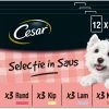 Cesar Selectie In Saus Maaltijdzakjes Honden Natvoer - Vlees En Groenten In Saus - 48 X 100 Gr -Dierenwinkel 1200x861 1