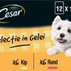 Cesar Selectie In Gelei Maaltijdzakjes Honden Natvoer - Vlees En Groenten In Gelei - 48 X 100g -Dierenwinkel 1200x861