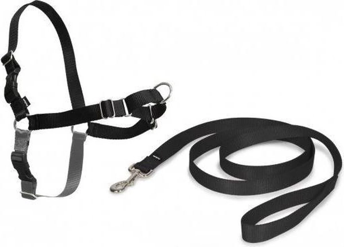 Petsafe Easy Walk® Deluxe Harness - Hondentuigje - Blauw - M - 1,8 M 15 Petsafe Easy Walk® Deluxe Harness - Hondentuigje - Blauw - M - 1,8 M - Afbeelding 13