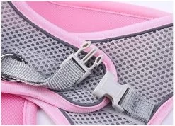 Hondentuigje Voor Kleine Puppy's & Kleine Honden - Blauw - Maat M -Dierenwinkel 1200x864 4