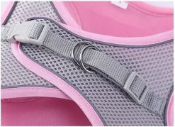 Hondentuigje Voor Kleine Puppy's & Kleine Honden - Blauw - Maat M -Dierenwinkel 1200x869 1