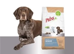 Prins Procare Senior - 15 KG 21 Prins Procare Senior - 15 KG -Dierenwinkel 1200x877