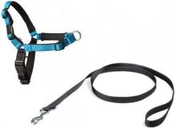 Petsafe Easy Walk® Deluxe Harness - Hondentuigje - Blauw - M - 1,8 M 19 Petsafe Easy Walk® Deluxe Harness - Hondentuigje - Blauw - M - 1,8 M -Dierenwinkel 1200x880 1
