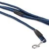 Merkloos Slipriem - Nylon - Riem Voor Hond - Blauw -Dierenwinkel 1200x884 2