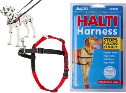 Company Of Animals Halti Harnass Hondentuigje - Anti Trektuigje - M - 60 Tot 80 Cm – Zwart -Dierenwinkel 1200x889 2