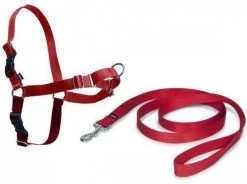 PetSafe Easy Walk® - Hondentuigje - Zwart - L - 66-91 Cm -Dierenwinkel 1200x896 8