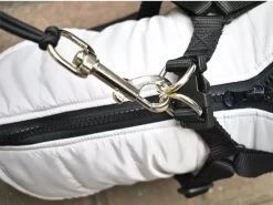 Fiets Hondenriem - Fietsbeugel Voor De Hond -Honden Fietsbeugel - Hondenlijn-Lijn Dog- Afstandshouder Hond 22 Fiets Hondenriem - Fietsbeugel Voor De Hond -Honden Fietsbeugel - Hondenlijn-Lijn Dog- Afstandshouder Hond -Dierenwinkel 1200x897 2