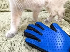 Vacht Verzorgingsborstel Voor Huisdieren - Blauw - LimitedDeals - Voor Honden Katten Konijnen Paarden - Tevens Massage Handschoen Voor Dieren! - Goed Voor De Verzorging Van De Vacht -Dierenwinkel 1200x897