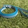 Merkloos Hondenriem - Antislip Lijn - 3 Meter - Turquoise - Training - Anti Slip - Volglijn - Looplijn - Speurlijn - Puppy 2 Merkloos Hondenriem - Antislip Lijn - 3 Meter - Turquoise - Training - Anti Slip - Volglijn - Looplijn - Speurlijn - Puppy -Dierenwinkel 1200x899 8