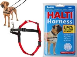 Company Of Animals Halti Harnass - Anti Trektuigje - Hond - Large - Borstomvang Boven De 80 Cm – Zwart -Dierenwinkel 1200x901 5