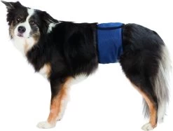 Trixie Plasband Voor Reuen Blauw M 37/45cm