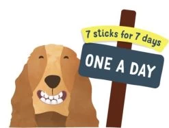 Edgard & Cooper Doggy Dental Sticks Appel - Eucalyptusolie Medium -Dierenwinkel 1200x908