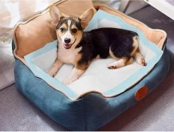 Nobleza 48LXB - Puppy Training Pads - 60 X 90 Cm - Zindelijkheidstraining - 100 Stuks -Dierenwinkel 1200x911 1