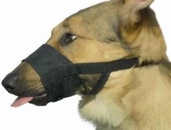 Beeztees Comfort Muilband - Hond - M - 15-20 Cm -Dierenwinkel 1200x918