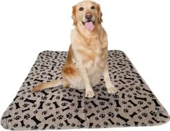 Sharon B - Puppy Training Pad - Plasmat - Beige Met Botjesprint - 80x90 Cm - Hondentoilet - Herbruikbaar - Wasbaar