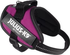 Julius K9 Julius-K9 IDC®Powertuig, XS - Mini-Mini, Donkerroze 15 Julius K9 Julius-K9 IDC®Powertuig, XS - Mini-Mini, Donkerroze -Dierenwinkel 1200x941