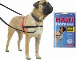 Company Of Animals Halti Harnass Anti Trektuigje - Hond - Small - Borstomvang 30 Tot 60 Cm - Rood -Dierenwinkel 1200x950 3