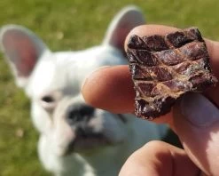 Topdiervoeding Lamslong Hondensnacks - Vers Gedroogd - Knapperig - 1 KG -Dierenwinkel 1200x960