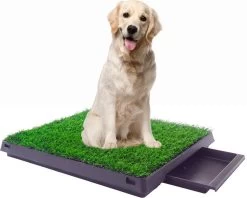 Merkloos Maoo Premium Hondentoilet - Geurbestendig & Hondvriendelijk Kunstgras - Uitneembare Opvangbak - Indoor En Outdoor - 63 X 50 Cm