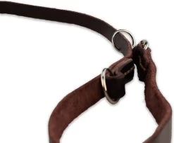 Multifunctionele Hondenriem - 220cm - Bruin - Leren Hondenriem - 100% Volnerfleer - Hondenriem Leer - Leiband Hond -Dierenwinkel 1200x993 1