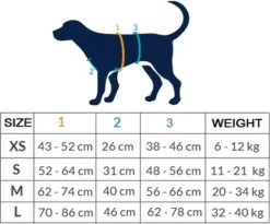 AnnyX Hondentuig - FUN - LIMTED EDITION - Speurtuig - Camouflage - Legergroen - Maat S - Borstomvang 52-64cm - Gewicht Hond 9 -19 Kg - My K9 -Dierenwinkel 1200x995 13