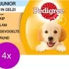 Pedigree Pouch Junior Multipack - Hondenvoer - 4 X 12x100 G -Dierenwinkel 1200x997