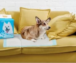 Nobleza 48LXB - Puppy Training Pads - 60 X 90 Cm - Zindelijkheidstraining - 100 Stuks -Dierenwinkel 1200x997 3