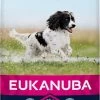 Eukanuba Dog Adult Medium Breed - Kip - Hondenvoer - 15 Kg