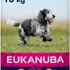 Eukanuba Caring Senior Medium Breed Kip - Hondenvoer - 15 Kg 2 Eukanuba Caring Senior Medium Breed Kip - Hondenvoer - 15 Kg -Dierenwinkel 550x1200