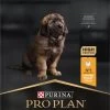 Pro Plan Healthy Start Puppy Large Robust - Honden Droogvoer - Kip - 12 Kg -Dierenwinkel 573x1200 5