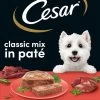 Cesar Classic Mix Paté Hondenvoer Maaltijdkuipjes 24 X 150 G 2 Cesar Classic Mix Paté Hondenvoer Maaltijdkuipjes 24 X 150 G -Dierenwinkel 697x1200 1