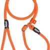Rebel Petz - Honden Trainingslijn Met Halsband - Taupe, Zwart, Groen & Oranje - Maat Small Of Large - Kleur: Oranje, Maat: Large -Dierenwinkel 706x1200 4