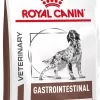 Royal Canin Fibre Response - Hondenvoer - 14 Kg -Dierenwinkel 733x1200