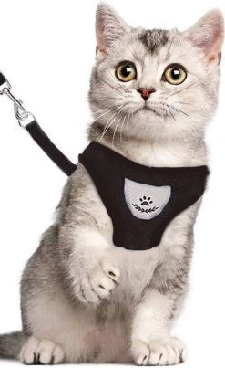 Luxyana® Hondentuigje - S - 28-32cm - Geschikt Voor Kleine Honden En Als Kattenharnas - Easy Step-in Hondentuigje Voor De Kleine Hond Of Kat - Inclusief Bijpassend Riempje - Zwart -Dierenwinkel 735x1200 3