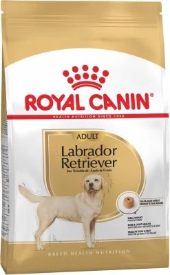 Royal Canin Labrador Retriever Adult 12 KG -Dierenwinkel 744x1200