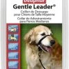 Beaphar Gentle Leader- Medium Maat Zwart | M -Dierenwinkel 790x1200 5