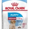 Royal Canin Medium Junior 15 KG 1 Royal Canin Medium Junior 15 KG -Dierenwinkel 795x1200 2