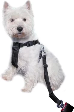 Trixie Auto-Tuig Zwart Maat - M -Dierenwinkel 798x1200 3